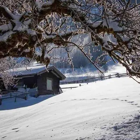 샬레 Kleine Alpenhuette In Neben Der Salzach