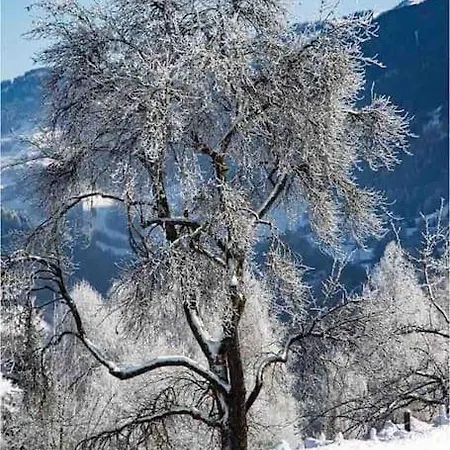 샬레 Kleine Alpenhuette In Neben Der Salzach Lend